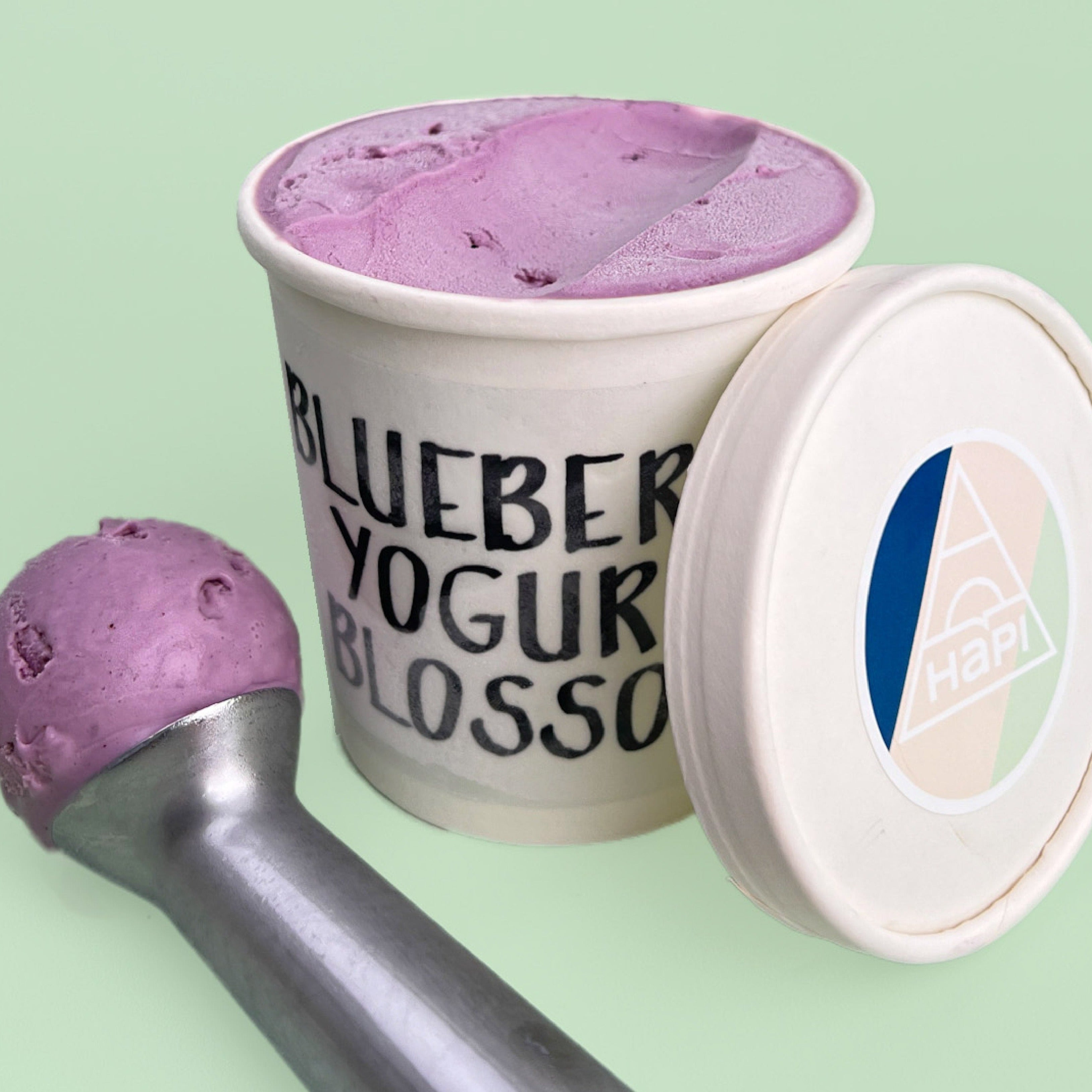 Blueberry Yogurt Blossom Ice Cream Tub 480ml Hapi.ae